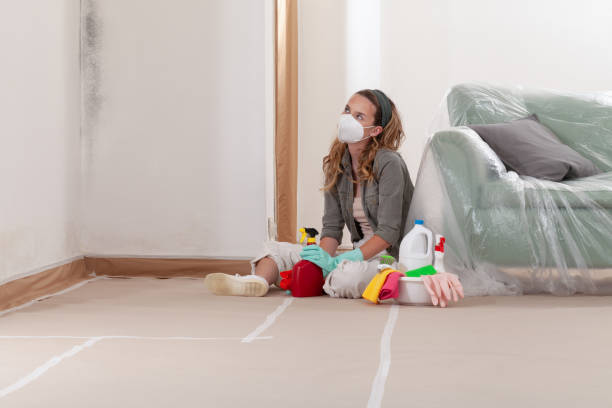 Reliable Mold Remediation contractor in Bloomfield, NJ by WQB Mold Removal